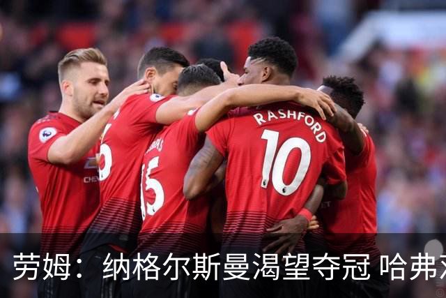 劳姆：纳格尔斯曼渴望夺冠 哈弗茨一直是我们非常重要的球员