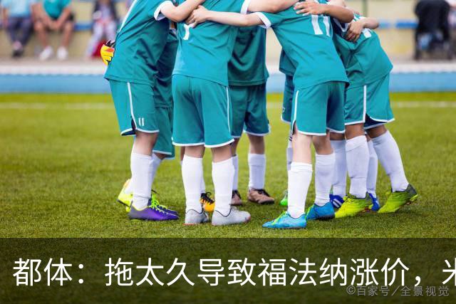 都体：拖太久导致福法纳涨价，米兰考虑拉比奥特